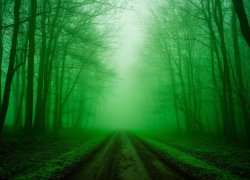 Радиационные туманы могут охватить Ростовскую область 