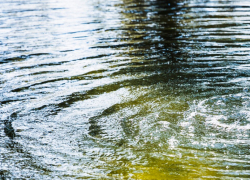 Рыбак утонул на реке Маныч в Ростовской области