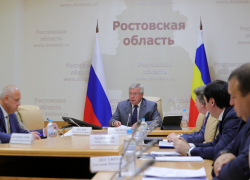 В Ростовской области совет по улучшению жизни женщин возглавил мужчина