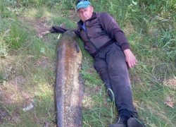 Рыбак из Ростовской области поймал сома с человеческий рост