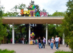 Смотровая площадка зоопарка Ростова изменит свой облик за счет городского бюджета