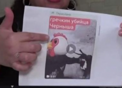 Федеральные СМИ раскрыли детали дела о травле ставропольской семьи радикальной зоозащитницей из Ростовской области 