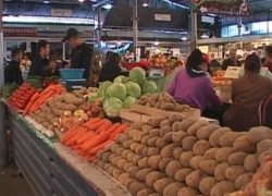 В Ростове подешевели овощи и подорожали сметана и сыры