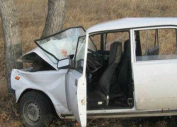 Возвращавшийся поздним вечером домой автомобилист «сломал голову» в ДТП с деревом в Ростове