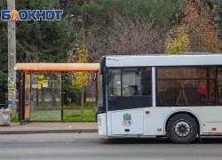 В Ростове с 1 сентября маршрут №44 сменит перевозчика 