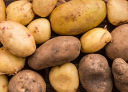В Ростовской области увеличились в два раза оптовые цены на картофель 