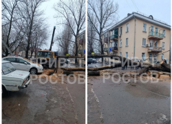 Дерево рухнуло на машины в Ростове