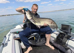 Рыбак из Новошахтинска поймал огромного сома