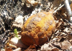 В Зверево 17-летний подросток подорвался на гранате и погиб