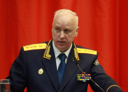 Александр Бастрыкин потребовал разобраться с агрессивными бродячими собаками в Ростовской области