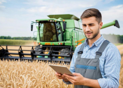 Фермер из Ростовской области собрал рекордный урожай пшеницы 