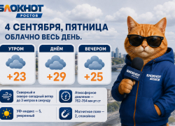 Погода в Ростове порадует небольшим похолоданием, без солнца