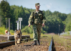Правительство Ростовской области решило усилить меры безопасности на территории региона