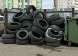 Шины и ветки под запретом: в Ростове фиксируют рост стихийных свалок у контейнеров