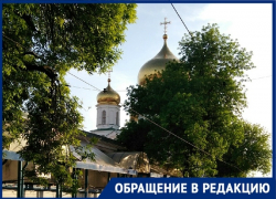 «Пусть город будет зеленым!»: ростовчанка попросила не вырубать деревья на Станиславского