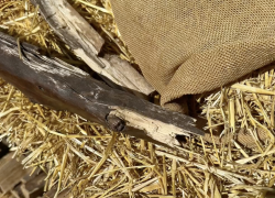 В парке «Лога» вандалы разрушили фотозону во время праздников 