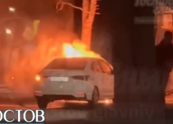 Иномарка врезалась в дерево и загорелась в Ростове