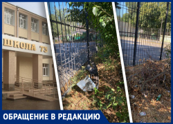 В Ростове территорию школы №73 забыли убрать к 1 сентября