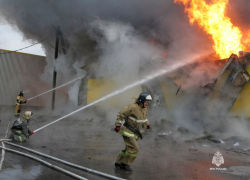 В Ростовской области за неделю на пожарах погибли пять человек 