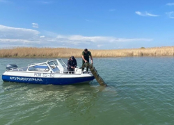 В Ростовской области выпустили незаконный улов почти на 815 тысяч рублей