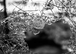 Сидевший на дороге мужчина погиб под колесами машины в Ростовской области