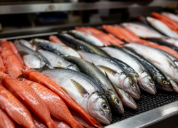 Рыба и морепродукты за год подорожали в Ростовской области на 10 %