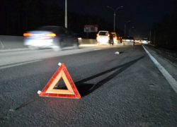 Ловившего попутку на трассе мужчину в камуфляже сбил автомобиль в Ростовской области