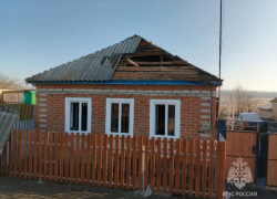 С начала года на пожарах в Ростовской области погибли 49 человек