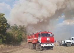 Крупный лесной пожар на площади в 125 га вспыхнул в Ростовской области