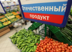 Импортозамещение на Дону:  от цели к результатам