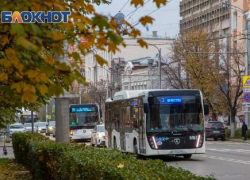 Ростовчане перечислили главные проблемы общественного транспорта