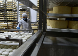 Производство пищевых продуктов в Ростовской области выросло на 6% в 2023 году