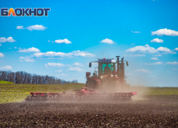 Засуха уничтожила более 60 тысяч гектаров посевов в Ростовской области