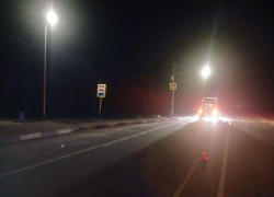 В Ростовской области водитель сбил лежащего на дороге бездомного