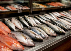 Цены на рыбу в Ростовской области выросли: Ростовстат рассказал где искать выгодные предложения