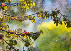 Резкое похолодание и переменная облачность ожидаются в Ростове