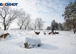 Снегопад ожидается в Ростовской области в конце ноября — климатолог