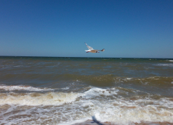 Ростовские ученые предложили разделить Азовское море на туристические кластеры