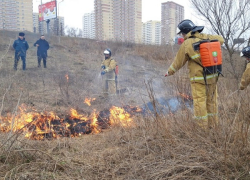 Ростовские власти ждут роста числа природных пожаров
