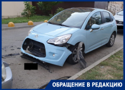 Стая бездомных собак в Ростове в клочья разорвала иномарку