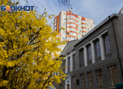 Прохладный и ветреный понедельник будет в Ростове 27 апреля