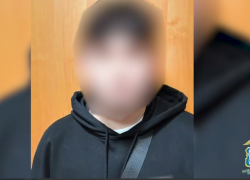 Ростовские полицейские задержали курьеров телефонных мошенников, похитивших более 1,7 млн рублей