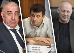 Депутата заксобрания Ростовской области обвинили в «дешевом хайпе» на проблемах региона