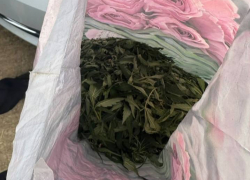 В Ростовской области задержали мужчину с розовым пакетом ‭«травы» 