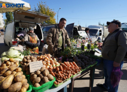 В Ростовской области резко подоражал картофель из-за дорогих удобрений