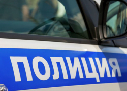 Молодых грабителей нашли в кустах ростовские полицейские
