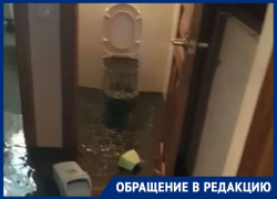 Из-за забитой канализации во время ливня фекалии хлынули в квартиру ростовчанки