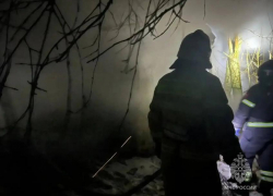 Сотрудники МЧС спасли кур и кроликов на пожаре в Ростовской области