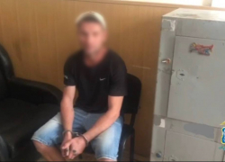 В Батайске задержали расчленителя осла 