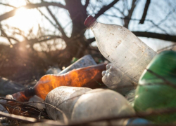 На рекультивацию свалок в Ростове и Новочеркасске потратят 215 миллионов рублей